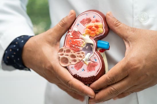 Remedy Gallbladder Stones 