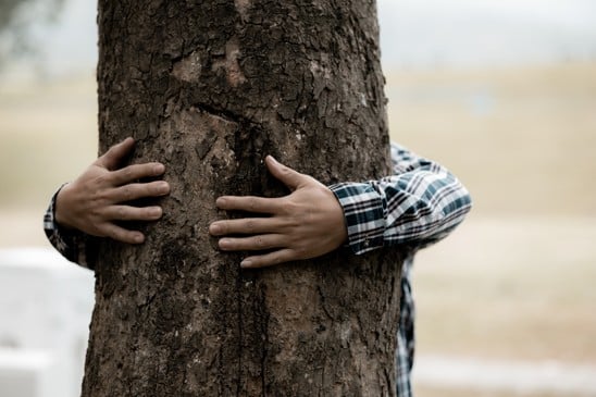 Remedy for Destructive nature
